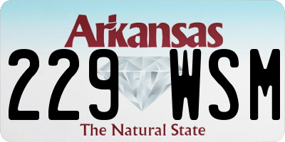 AR license plate 229WSM