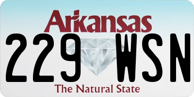 AR license plate 229WSN