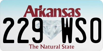 AR license plate 229WSO