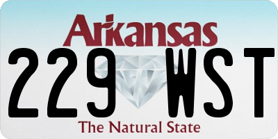 AR license plate 229WST