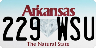 AR license plate 229WSU