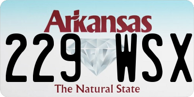 AR license plate 229WSX