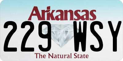AR license plate 229WSY