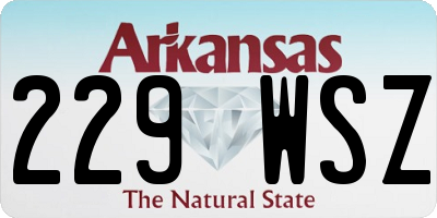 AR license plate 229WSZ