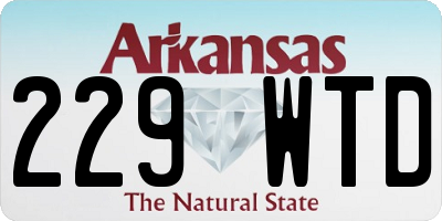 AR license plate 229WTD