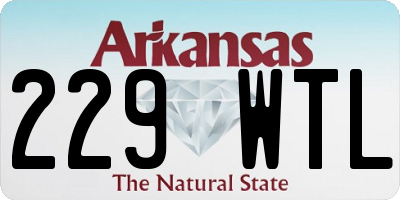 AR license plate 229WTL