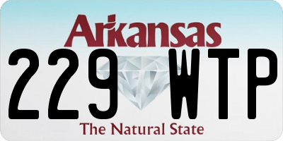 AR license plate 229WTP