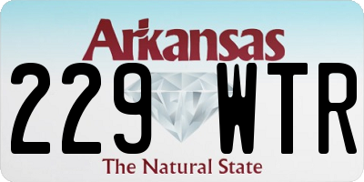 AR license plate 229WTR