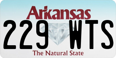 AR license plate 229WTS