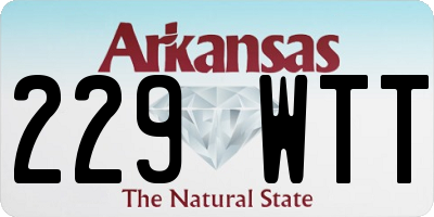 AR license plate 229WTT