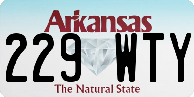 AR license plate 229WTY