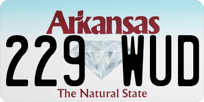 AR license plate 229WUD