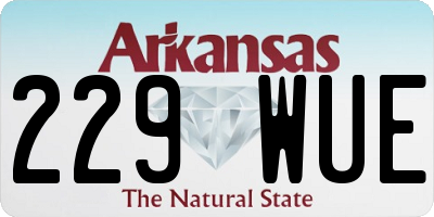 AR license plate 229WUE