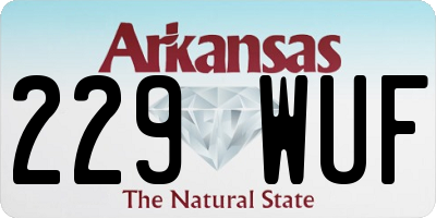 AR license plate 229WUF