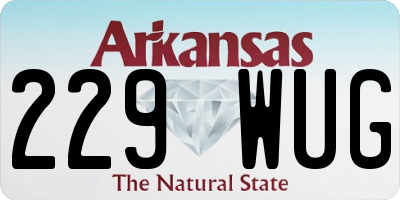 AR license plate 229WUG
