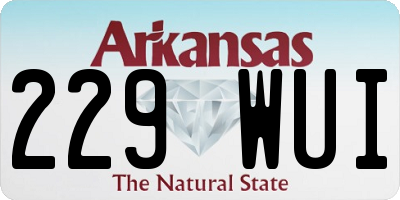 AR license plate 229WUI