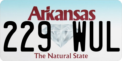 AR license plate 229WUL