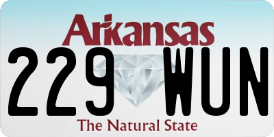 AR license plate 229WUN