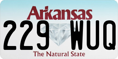 AR license plate 229WUQ