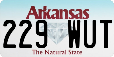 AR license plate 229WUT