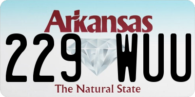 AR license plate 229WUU