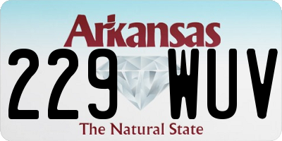AR license plate 229WUV