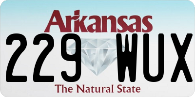 AR license plate 229WUX