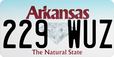 AR license plate 229WUZ