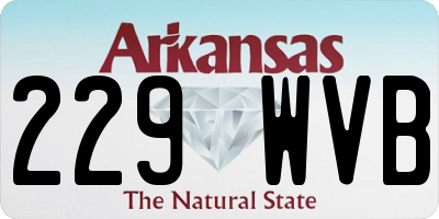 AR license plate 229WVB