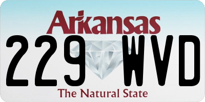 AR license plate 229WVD