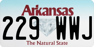 AR license plate 229WWJ