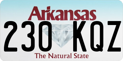 AR license plate 230KQZ