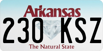 AR license plate 230KSZ