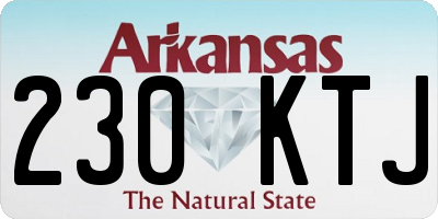 AR license plate 230KTJ