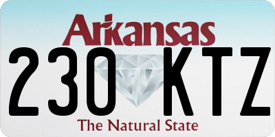 AR license plate 230KTZ