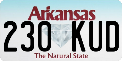 AR license plate 230KUD