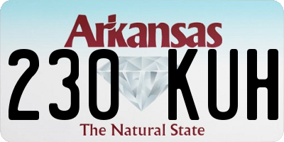 AR license plate 230KUH