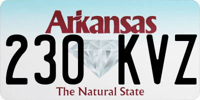 AR license plate 230KVZ