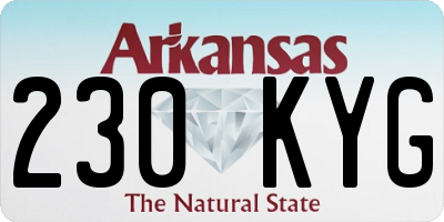 AR license plate 230KYG