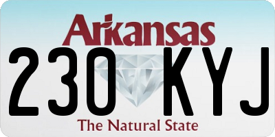 AR license plate 230KYJ