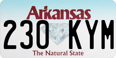 AR license plate 230KYM