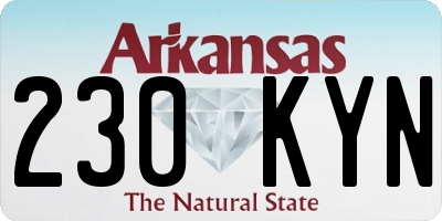AR license plate 230KYN
