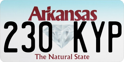 AR license plate 230KYP