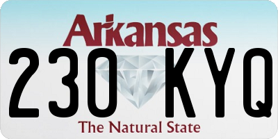 AR license plate 230KYQ