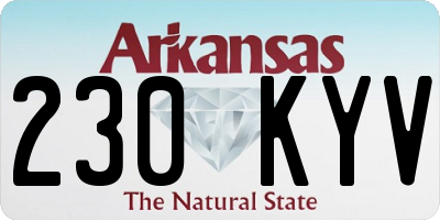 AR license plate 230KYV