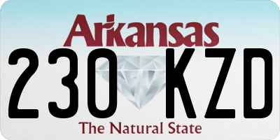 AR license plate 230KZD