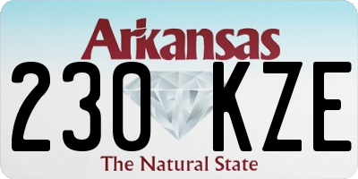 AR license plate 230KZE
