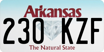 AR license plate 230KZF