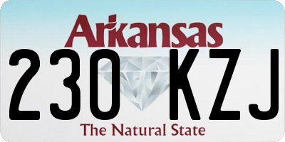 AR license plate 230KZJ