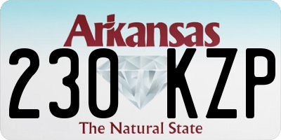 AR license plate 230KZP
